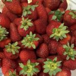 Web-fraises